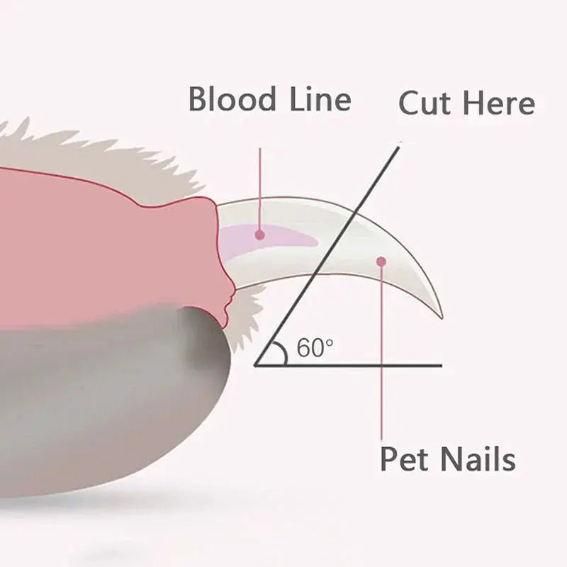 LED Pet Nail Clippers Rare Vault Co.