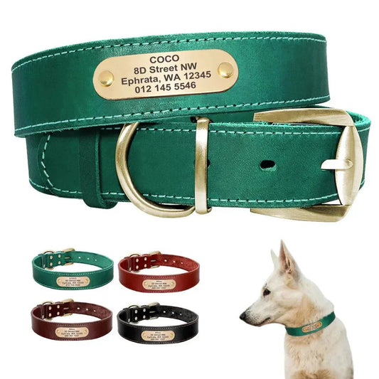 Personalized Leather Dog Collar Rare Vault Co.