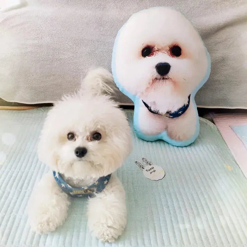 Personalized Pet Plush Pillow Rare Vault Co.