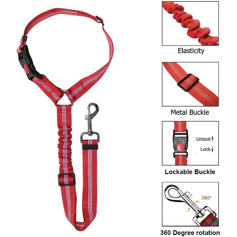 Two-in-One Dog Harness & Leash Rare Vault Co.