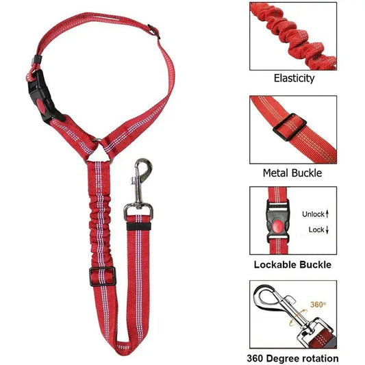 Two-in-One Dog Harness & Leash Rare Vault Co.