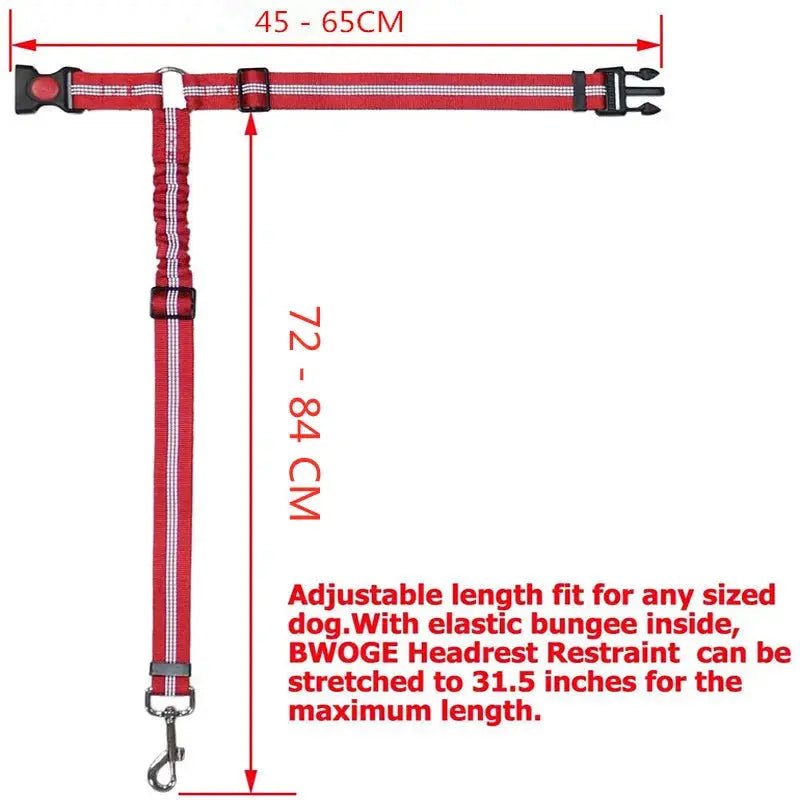 Two-in-One Dog Harness & Leash Rare Vault Co.