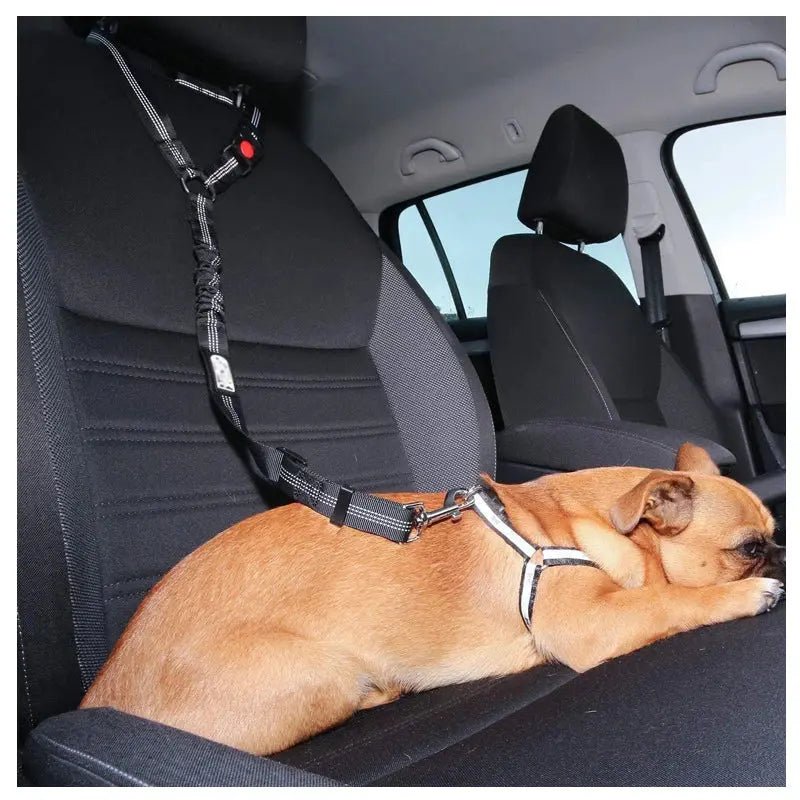 Two-in-One Dog Harness & Leash Rare Vault Co.