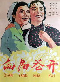 科技岛官网入口