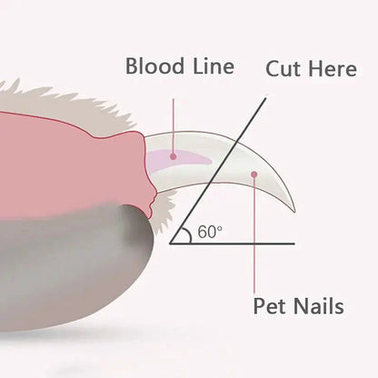 LED Pet Nail Clippers Rare Vault Co.