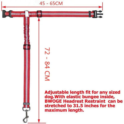 Two-in-One Dog Harness & Leash Rare Vault Co.