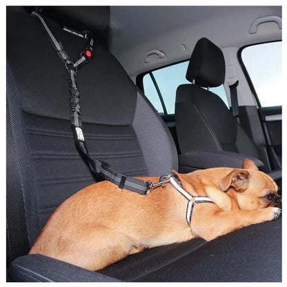 Two-in-One Dog Harness & Leash Rare Vault Co.